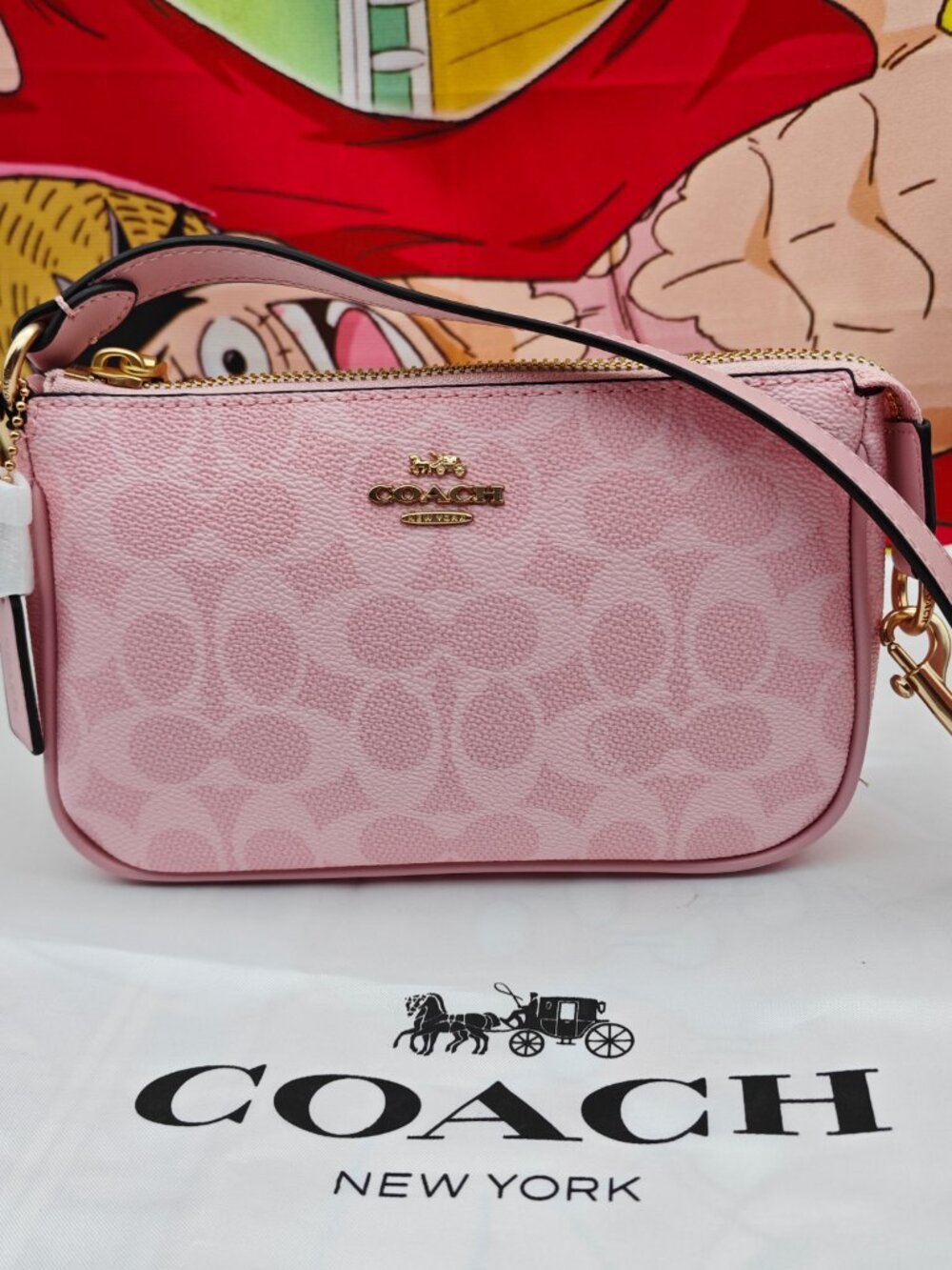 COACH Nolita 19 Signature Canvas bag